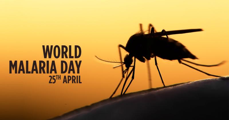 World Malaria Day | विश्व मलेरिया दिवस 25 अप्रैल को क्यों मनाया जाता है?