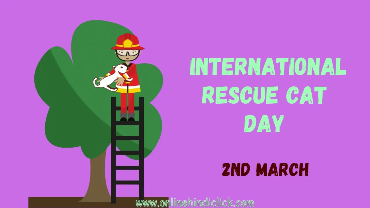 International Rescue Cat Day 2024: क्यों मनाया जाता है इंटरनेशनल रेस्क्यू कैट डे जानिए इसका इतिहास