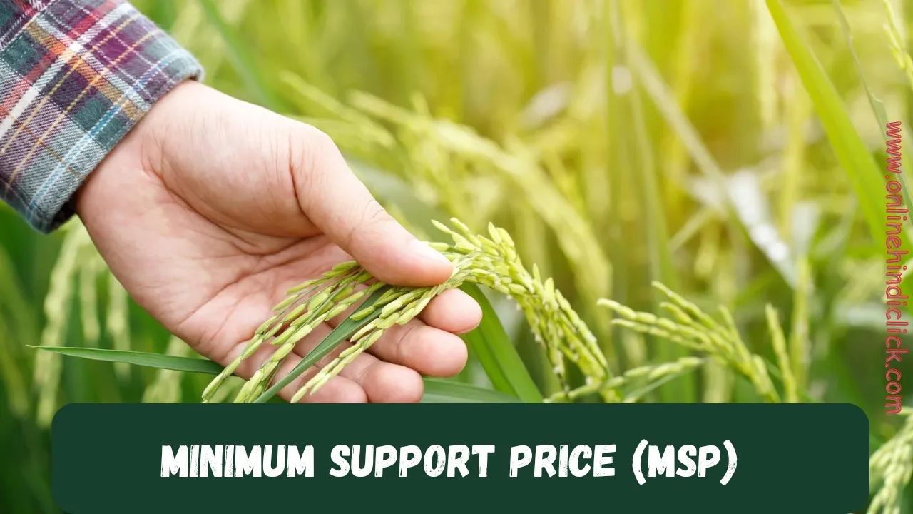 Minimum Support Price (MSP) in Hindi: जानें क्या होता है न्यूनतम समर्थन मूल्य (MSP)