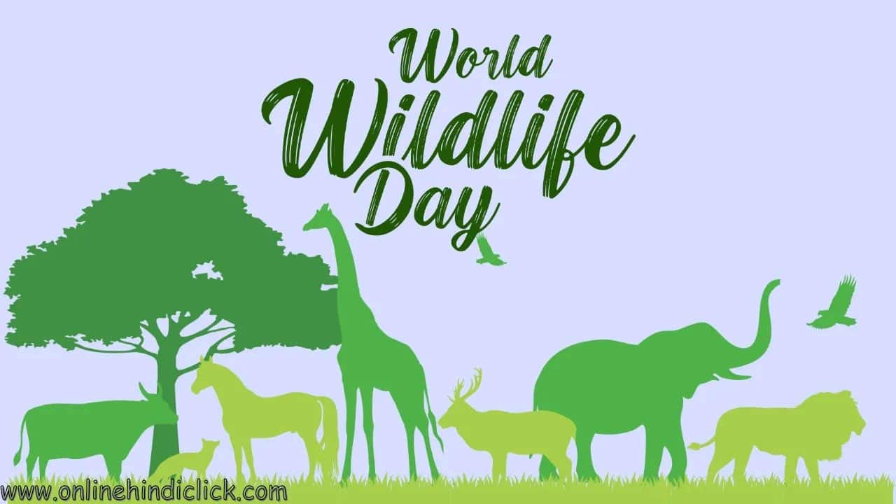 World Wildlife Day 2024: क्यों मनाया जाता है विश्व वन्यजीव दिवस जानिए इसका इतिहास, थीम और महत्व